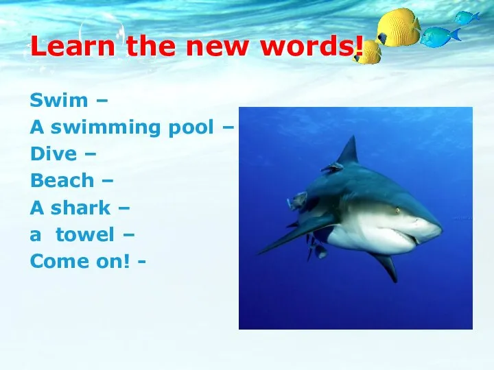 Learn the new words! Swim – A swimming pool – Dive –