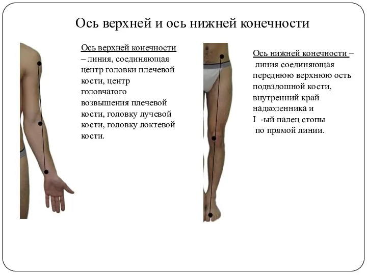 Ось верхней и ось нижней конечности Ось верхней конечности – линия, соединяющая