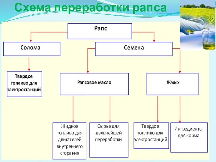 Схема переработки рапса