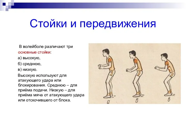 Стойки и передвижения В волейболе различают три основные стойки: а) высокую, б)