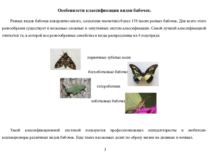 Особенности классификации видов бабочек. Разных видов бабочек невероятно много, зоологами насчитано более