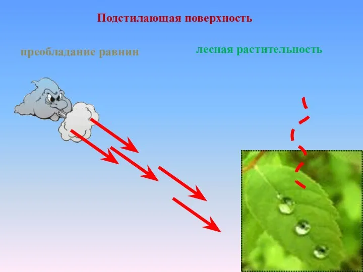 Подстилающая поверхность лесная растительность преобладание равнин