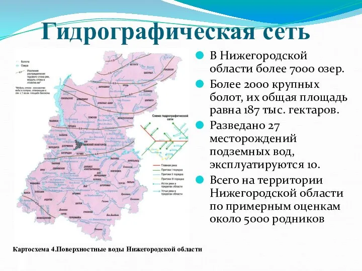 Гидрографическая сеть В Нижегородской области более 7000 озер. Более 2000 крупных болот,