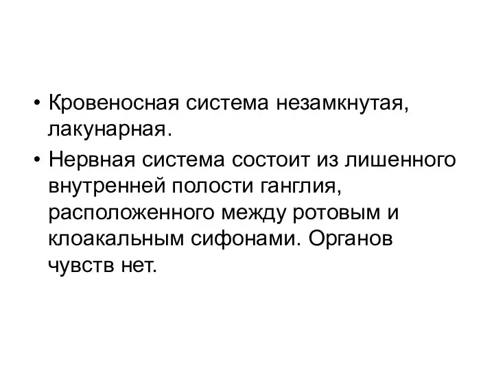 Кровеносная система незамкнутая, лакунарная. Нервная система состоит из лишенного внутренней полости ганглия,