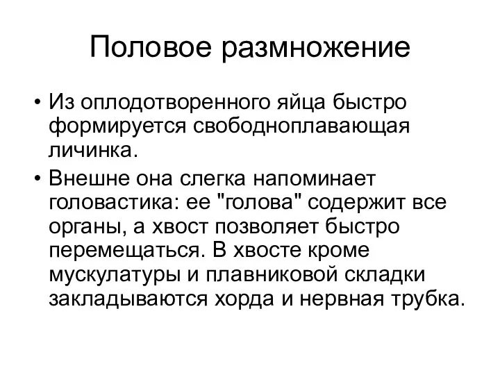 Половое размножение Из оплодотворенного яйца быстро формируется свободноплавающая личинка. Внешне она слегка