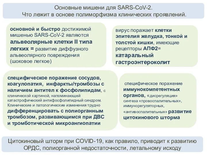 Основные мишени для SARS-CoV-2. Что лежит в основе полиморфизма клинических проявлений. основной