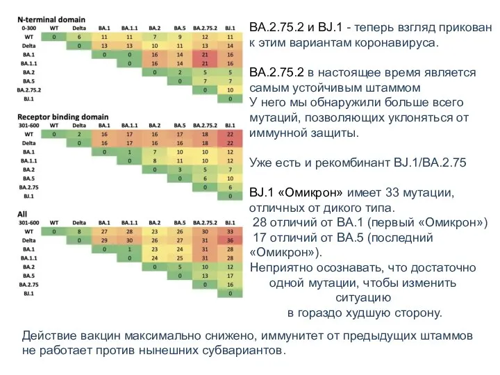 BA.2.75.2 и BJ.1 - теперь взгляд прикован к этим вариантам коронавируса. BA.2.75.2