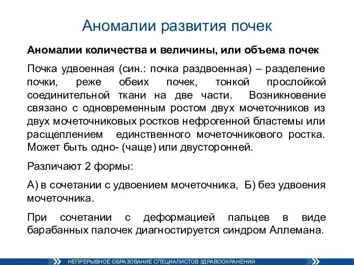 Аномалии развития почек Аномалии количества и величины, или объема почек Почка удвоенная