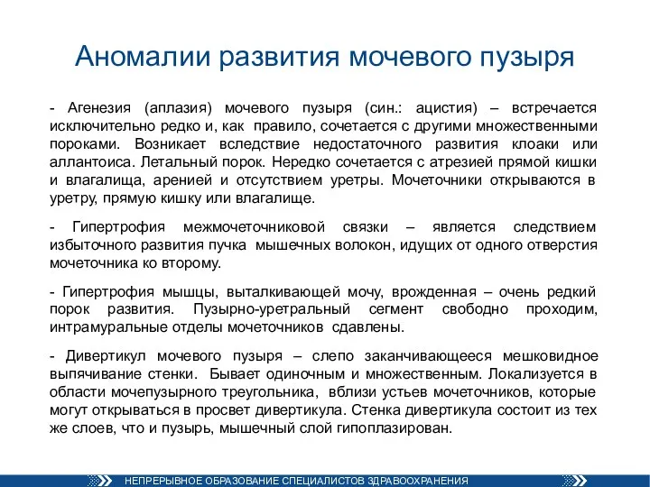 Аномалии развития мочевого пузыря - Агенезия (аплазия) мочевого пузыря (син.: ацистия) –