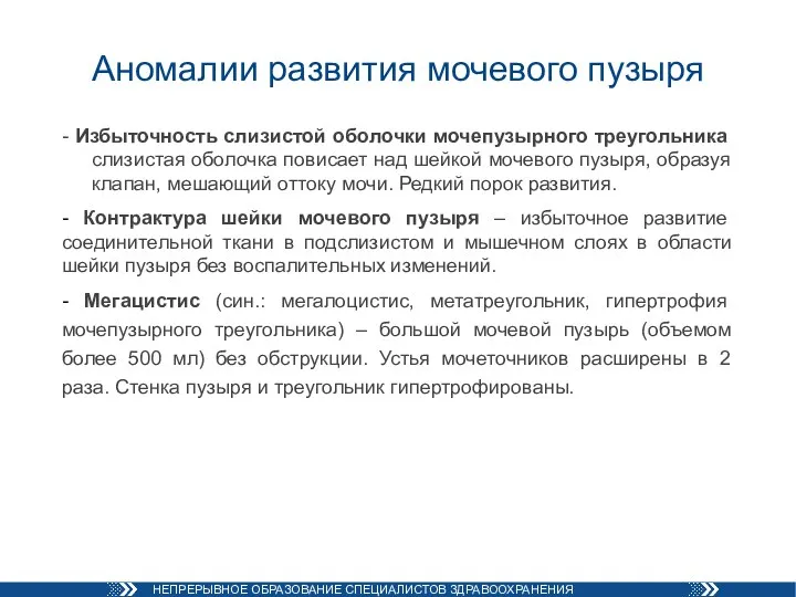 Аномалии развития мочевого пузыря - Избыточность слизистой оболочки мочепузырного треугольника слизистая оболочка