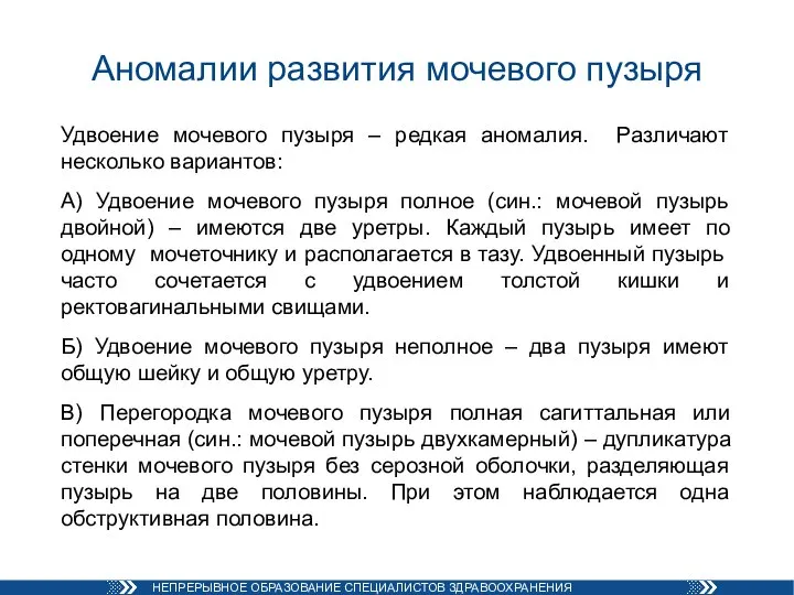 Аномалии развития мочевого пузыря Удвоение мочевого пузыря – редкая аномалия. Различают несколько