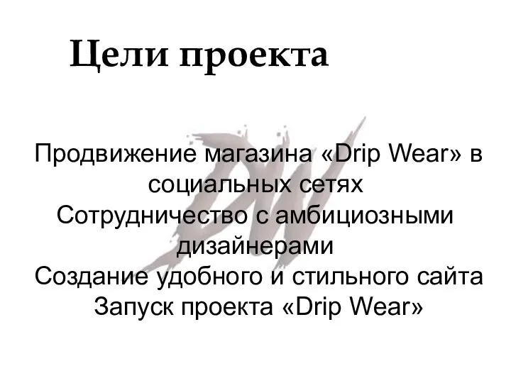 Цели проекта Продвижение магазина «Drip Wear» в социальных сетях Сотрудничество с амбициозными