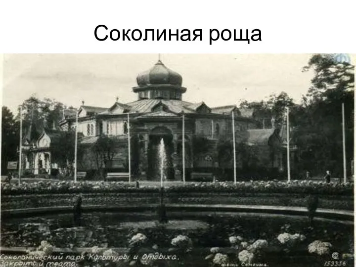 Соколиная роща