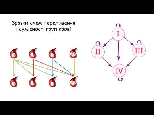 Зразки схем переливання і сумісності груп крові