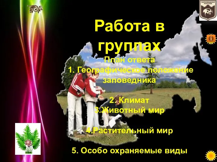 Работа в группах План ответа 1. Географическое положение заповедника 2. Климат 3.Животный