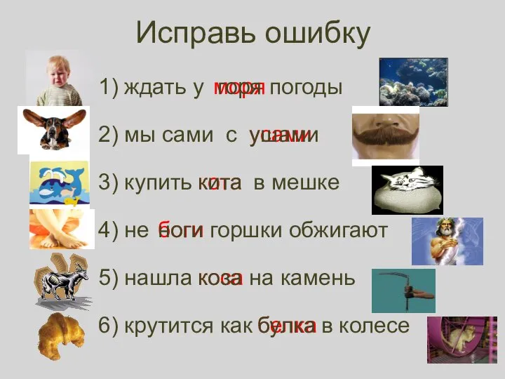 белка коса боги ноги кота усами моря Исправь ошибку 1) ждать у