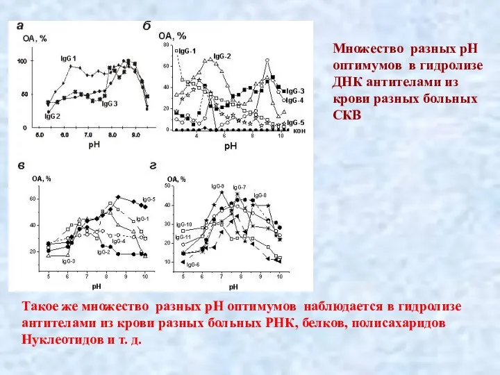 . Множество разных рН оптимумов в гидролизе ДНК антителами из крови разных
