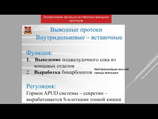 Нейтрализация кислой среды желудка Экзокринные функции вставочных выводных протоков