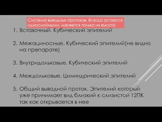 Система выводных протоков. Всегда остаются однослойными, меняется только их высота Вставочный. Кубический