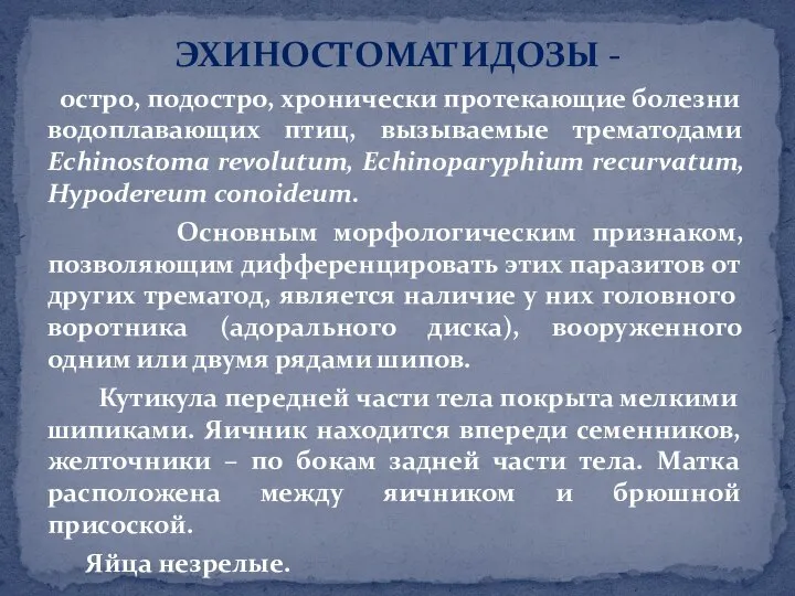 ЭХИНОСТОМАТИДОЗЫ - остро, подостро, хронически протекающие болезни водоплавающих птиц, вызываемые трематодами Echinostoma