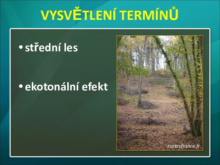 střední les ekotonální efekt cartesfrance.fr VYSVĚTLENÍ TERMÍNŮ