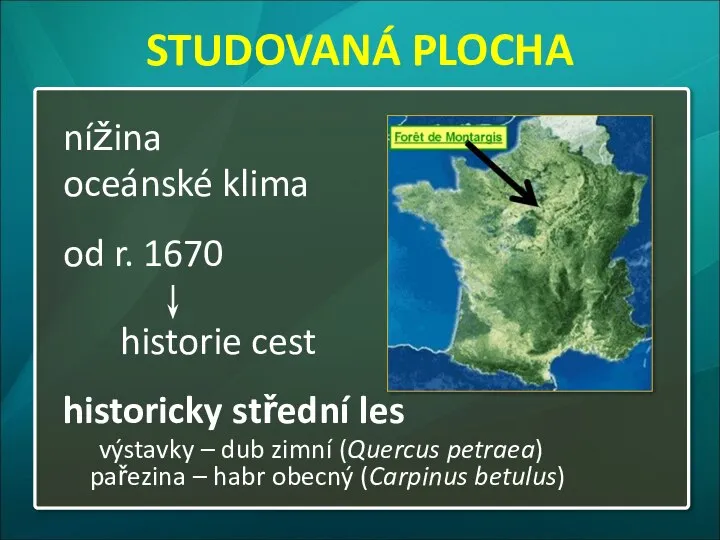 nížina oceánské klima od r. 1670 historie cest historicky střední les výstavky