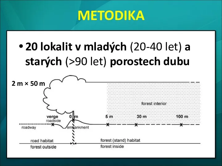 20 lokalit v mladých (20-40 let) a starých (>90 let) porostech dubu