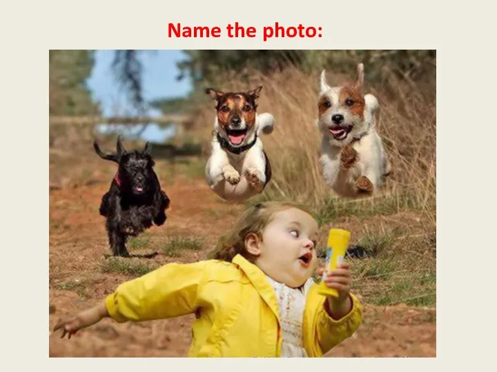 Name the photo: