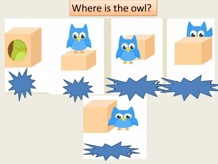 Where is the owl?