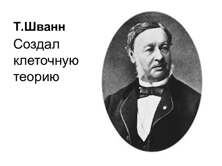 Т.Шванн Создал клеточную теорию