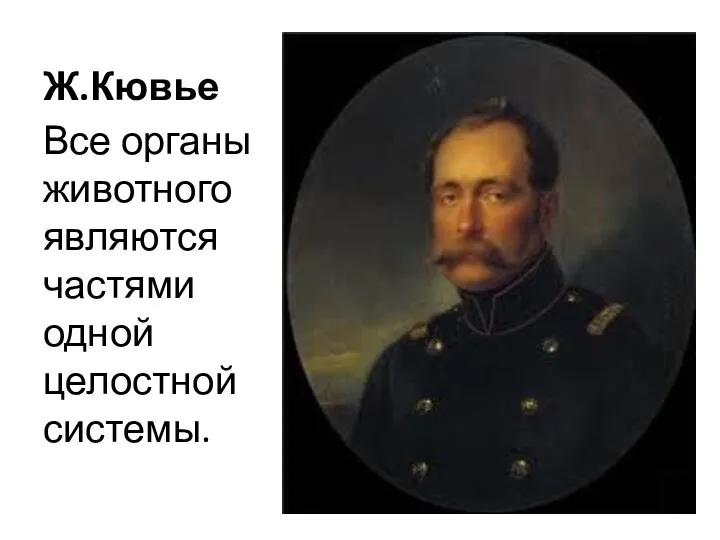 Ж.Кювье Все органы животного являются частями одной целостной системы.