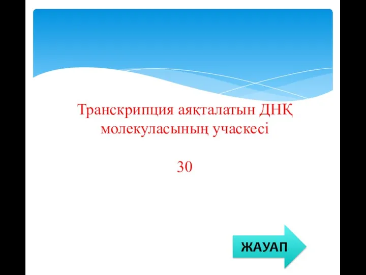 Транскрипция аяқталатын ДНҚ молекуласының учаскесі 30 ЖАУАП