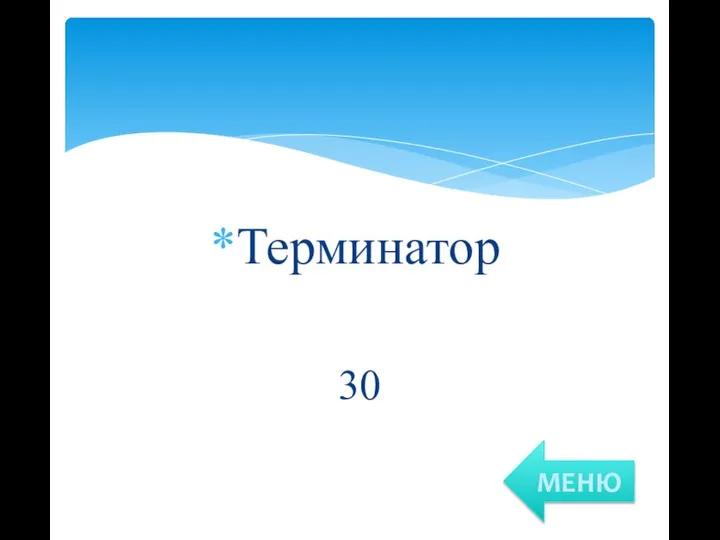 Терминатор 30 МЕНЮ