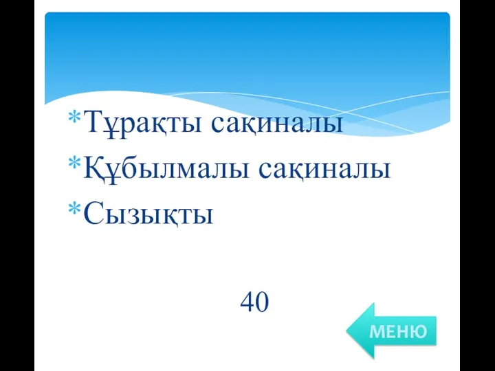 Тұрақты сақиналы Құбылмалы сақиналы Сызықты 40 МЕНЮ