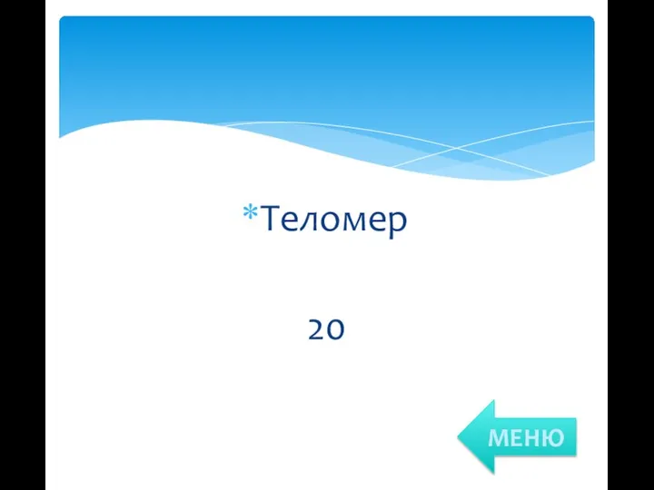 Теломер 20 МЕНЮ