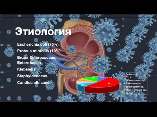 Этиология Escherichia coli (75%). Proteus mirabilis (10%). Виды Enterococcus, Enterobacter. Klebsiella. Staphylococcus. Candida albicans.