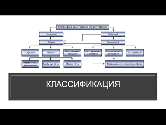 КЛАССИФИКАЦИЯ