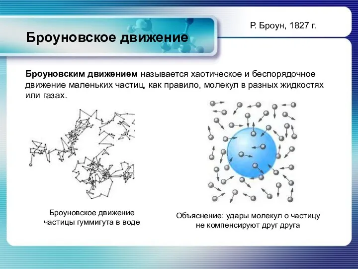 Броуновское движение Броуновское движение частицы гуммигута в воде Объяснение: удары молекул о