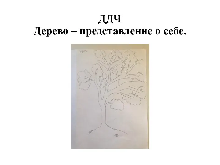 ДДЧ Дерево – представление о себе.