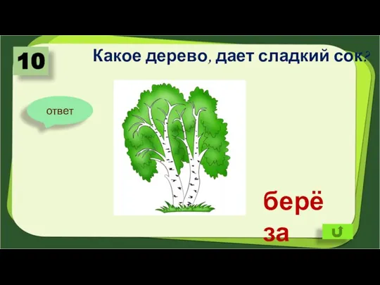 Какое дерево, дает сладкий сок? 10 ответ берёза