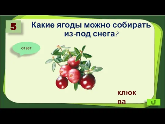 Какие ягоды можно собирать из-под снега? 5 ответ клюква