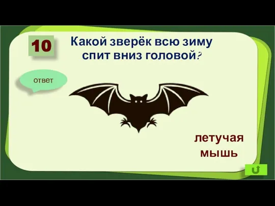 Какой зверёк всю зиму спит вниз головой? 10 ответ летучая мышь