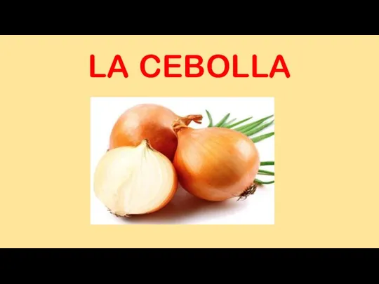 LA CEBOLLA