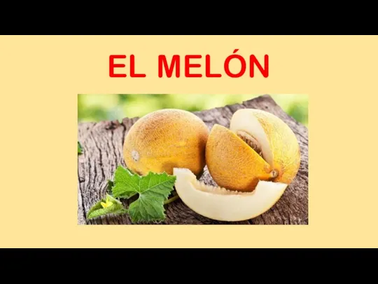 EL MELÓN