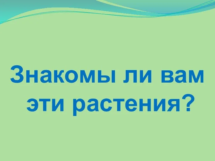 Знакомы ли вам эти растения?