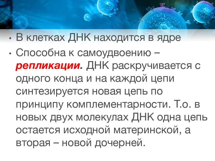 В клетках ДНК находится в ядре Способна к самоудвоению – репликации. ДНК