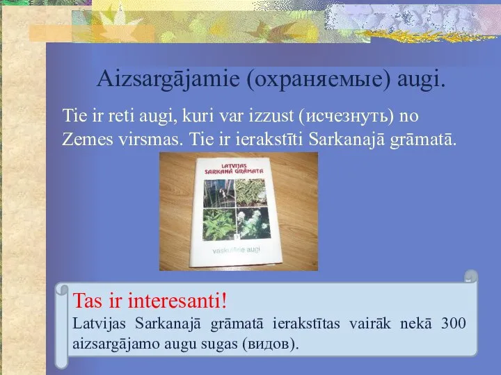 Aizsargājamie (охраняемые) augi. Tie ir reti augi, kuri var izzust (исчезнуть) no