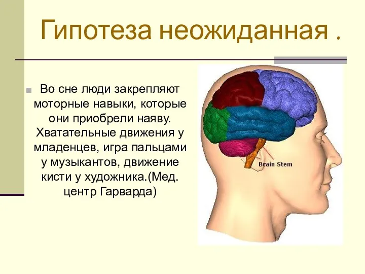 Гипотеза неожиданная . Во сне люди закрепляют моторные навыки, которые они приобрели