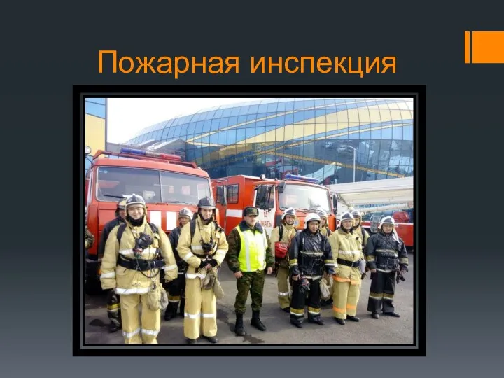 Пожарная инспекция