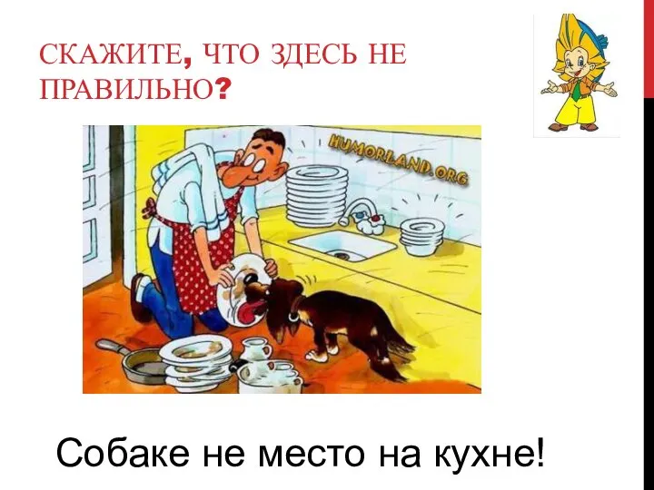 СКАЖИТЕ, ЧТО ЗДЕСЬ НЕ ПРАВИЛЬНО? Собаке не место на кухне!